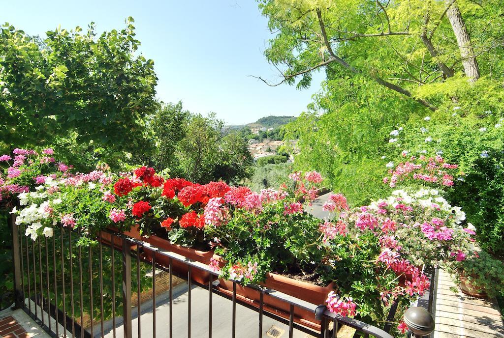Villa Fiorita Grottammare Luaran gambar